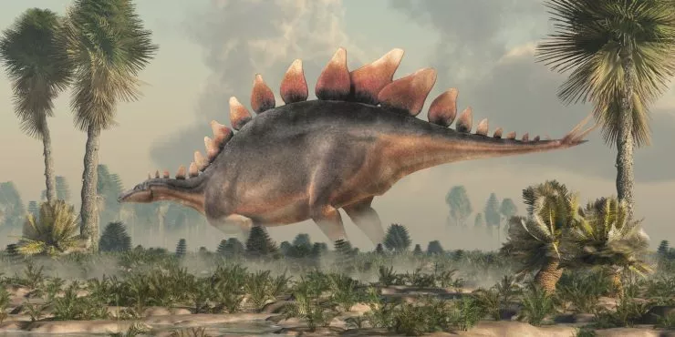 Факти за динозавъра стегозавър