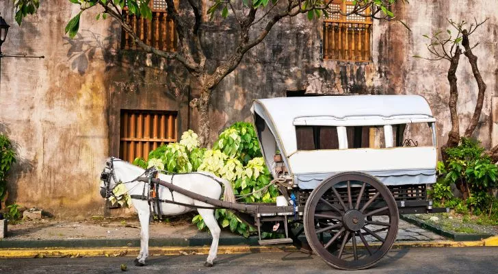 Кон и карета в Манила
