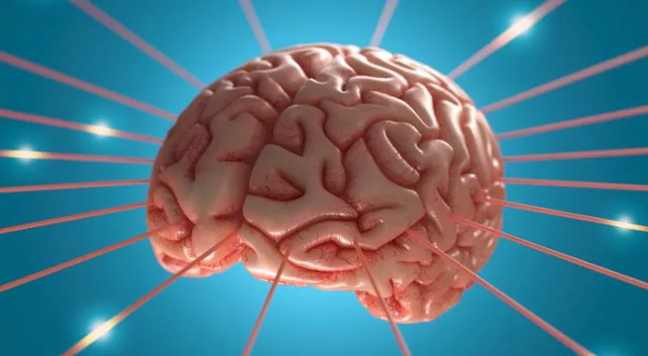 Въглехидратите влияят на мозъка