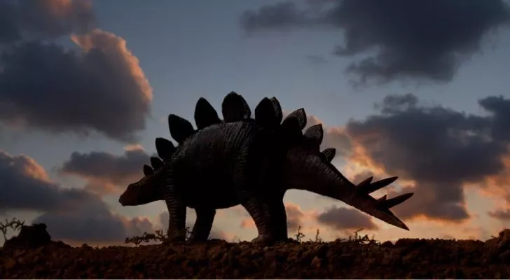 Динозавърът стегозавър по време на залез слънце