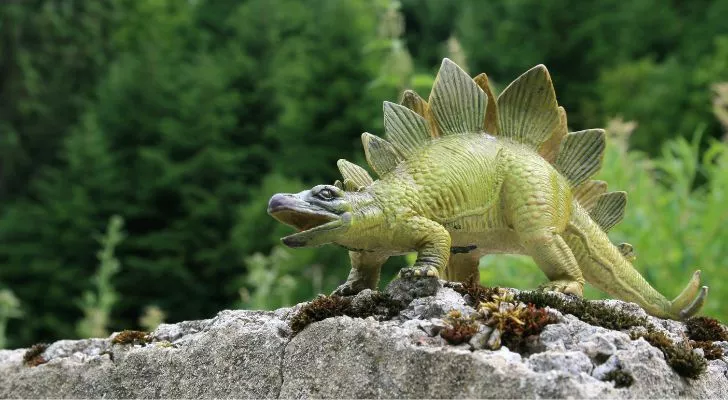 Смята се, че динозавърът стегозавър е ял камъни, за да помогне на храносмилането