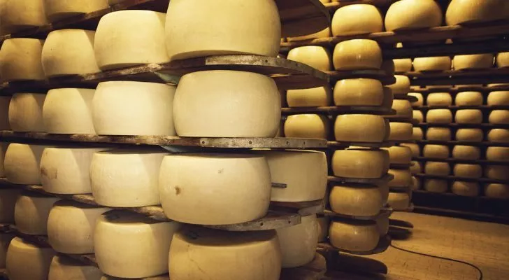 Купища пармезан във фабрика за сирене