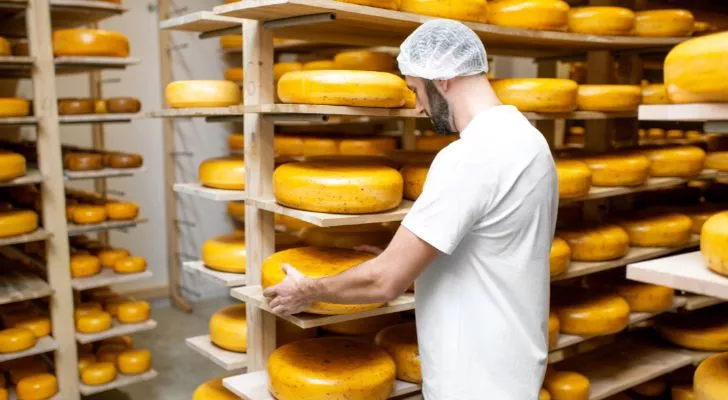 Производител на сирене във фабрика за пармезан