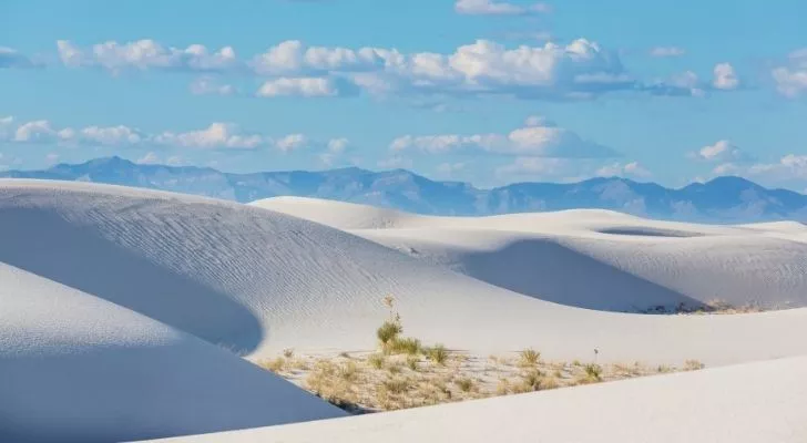 Красивият национален парк Бели пясъчни дюни
