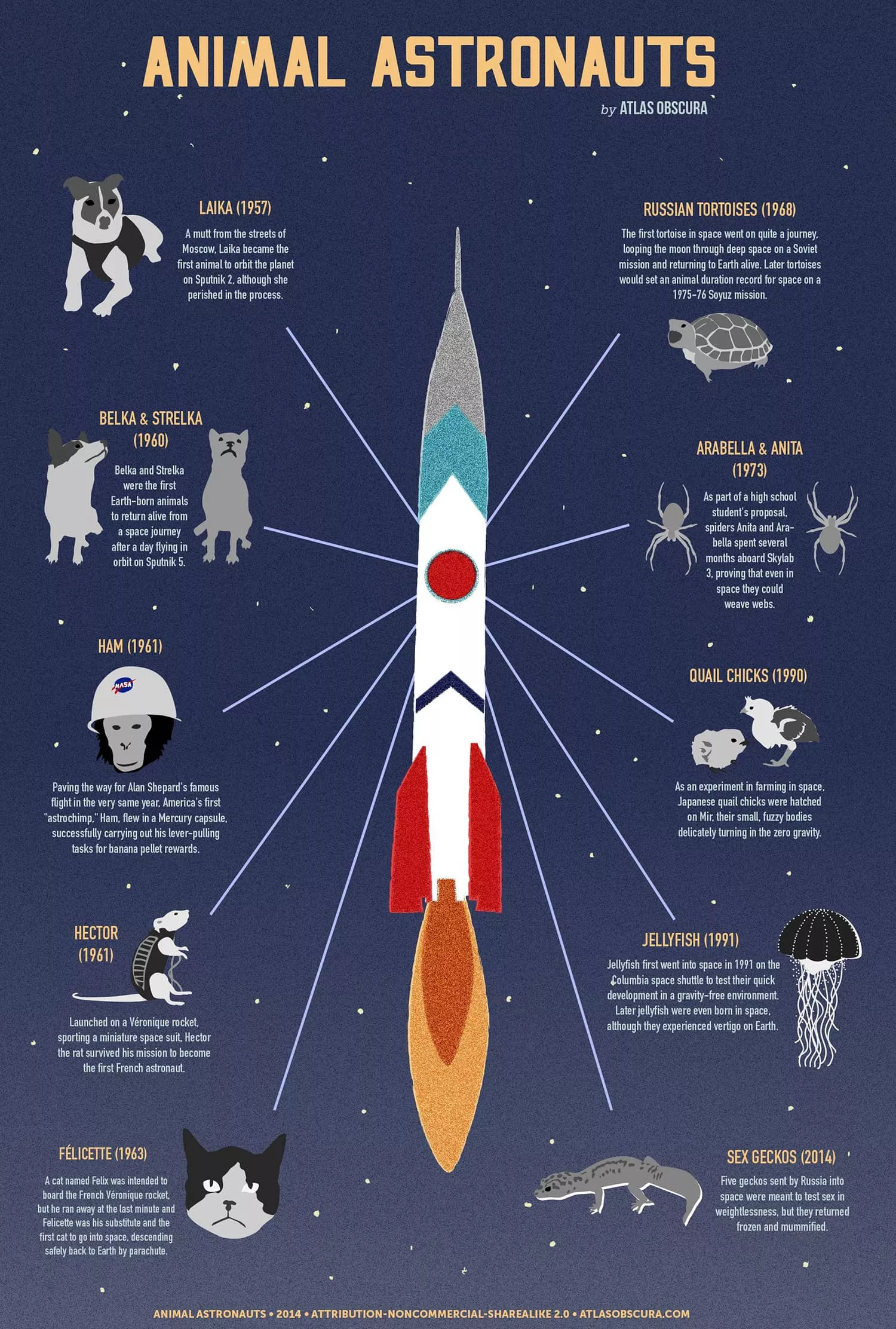 Инфографика за животни астронавти