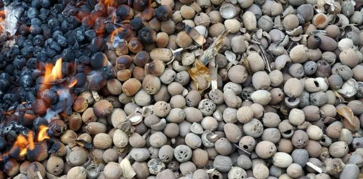 Lots of shelled nuts burning