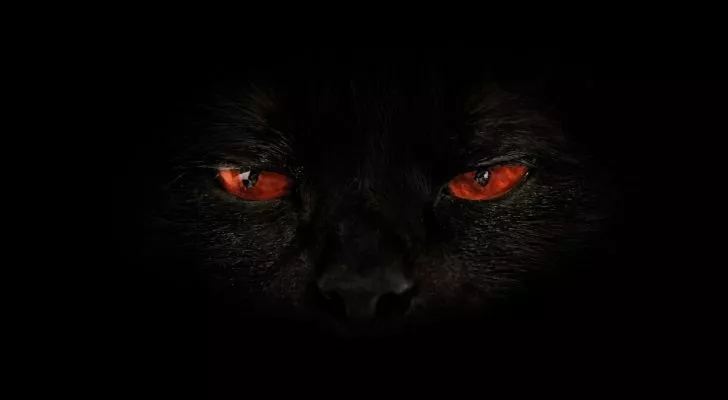 A dark closeup of a black cat with evil looking red eyes