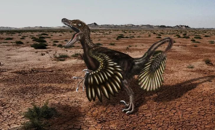 Модел Velociraptor mongoliensis.