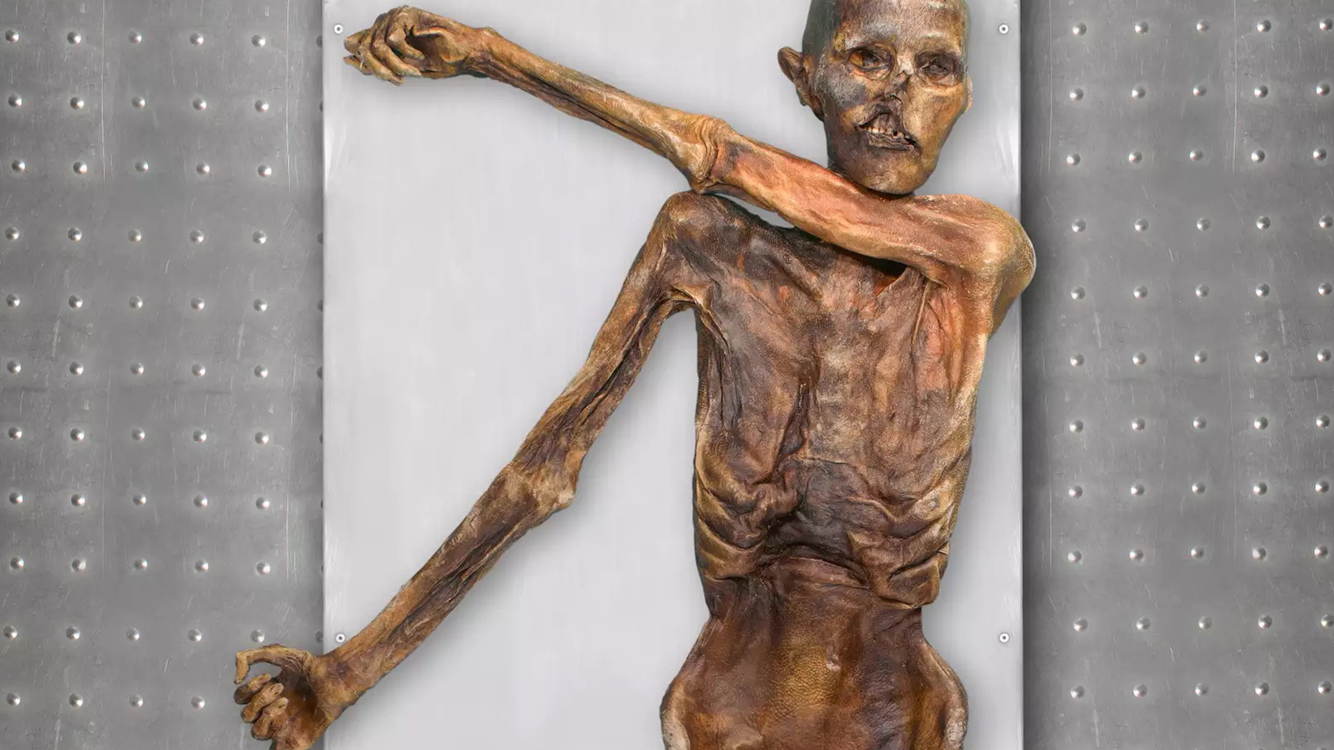 Торс и глава на човешки мумифицирани останки.