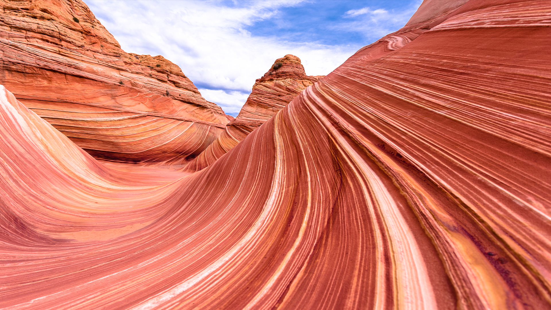 Вълната е скално образувание от пясъчник, разположено в Съединените американски щати близо до границата между Аризона и Юта, по склоновете на Coyote Buttes, в пустинята Париа Каньон-Вермилион Клифс, на платото Колорадо.