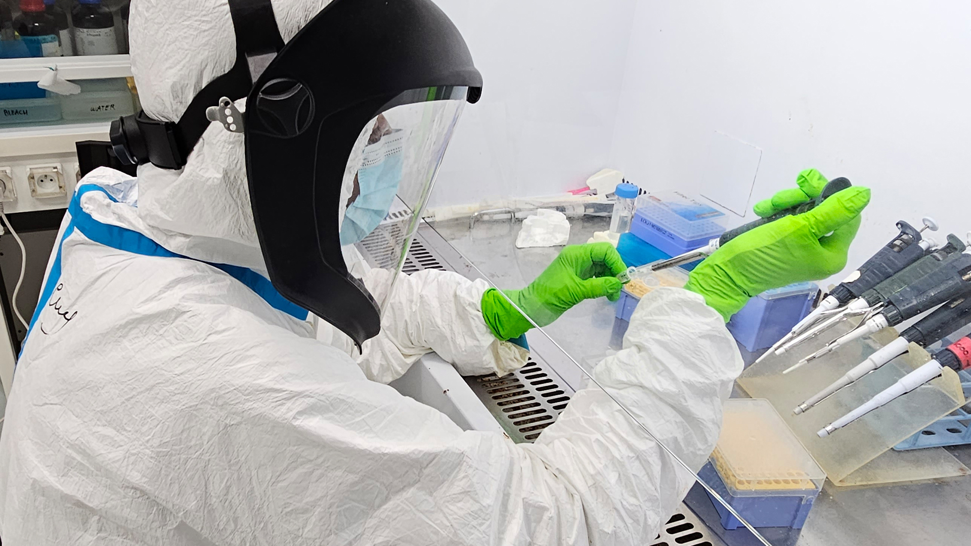 Учен, облечен в пълен защитен бял костюм, маска за лице и зелени ръкавици, извлича ДНК от фосилни останки в лаборатория.