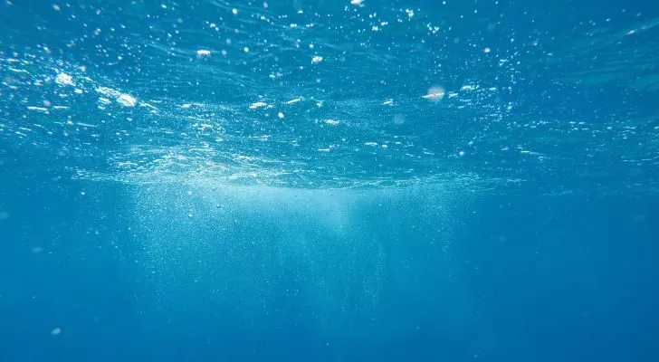 A from underneath of the waters surface