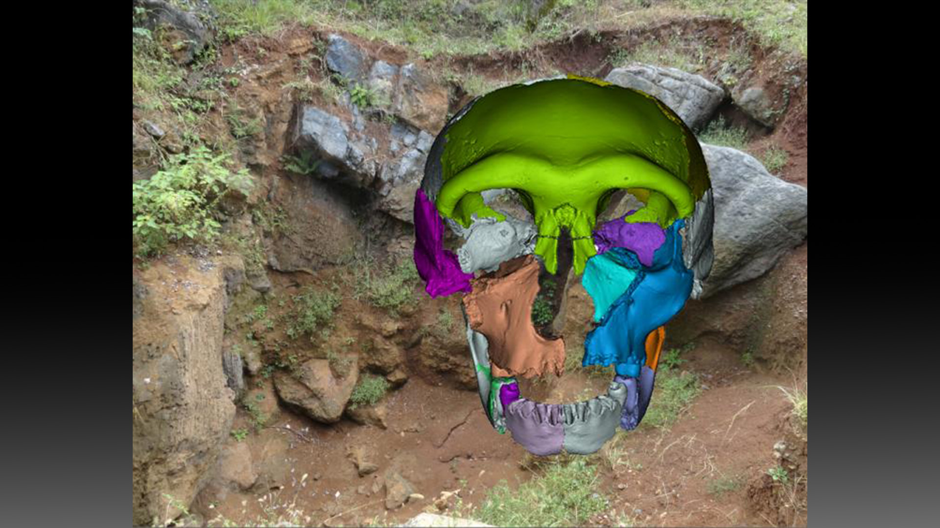 Компютърно генериран човешки череп от среден плейстоцен от hualongdong