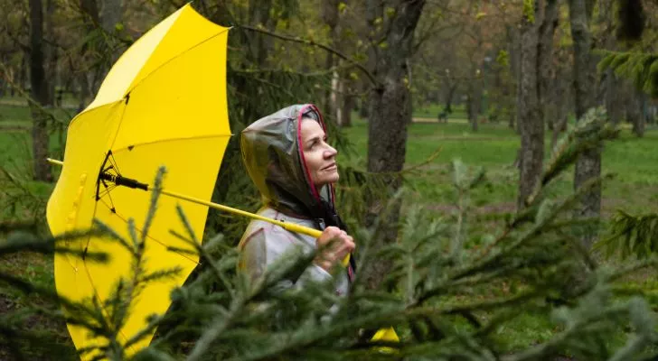 Жена с ярко жълт чадър върви през гора