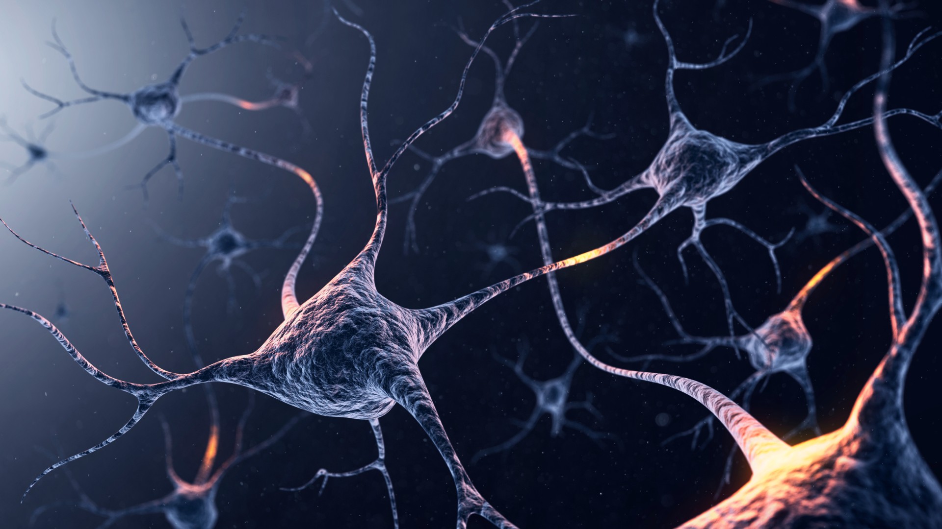 Илюстрация на куп взаимосвързани неврони в лилаво на по-тъмно лилав обикновен фон.  В някои от невроните има жълти петна, които са предназначени да представляват предавани сигнали