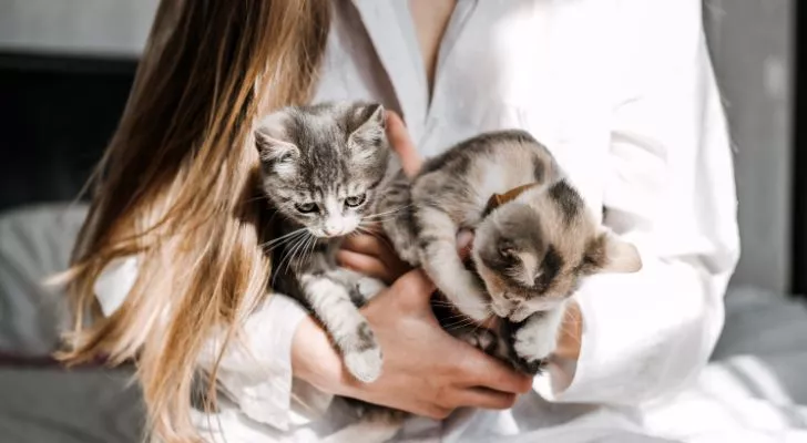 Жена гушка две малки котенца
