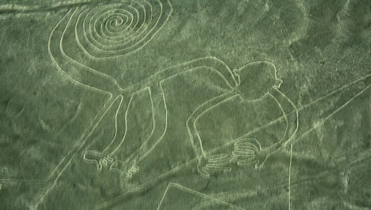 Въздушен изглед на геоглиф на Nazca Line, изобразяващ маймуна със спирална опашка в перуанската пустиня